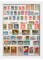 Minimalist Shadow Box White Picture Frame - UV Acrylic, Backing, Hanging Hardware